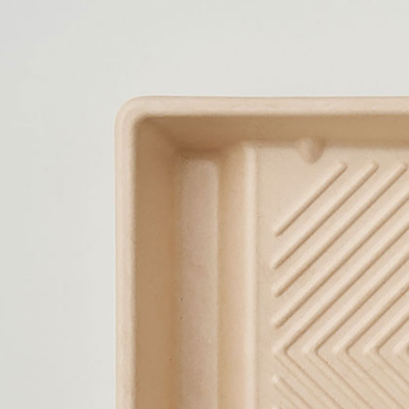 9" Biodegradable pulp paint tray