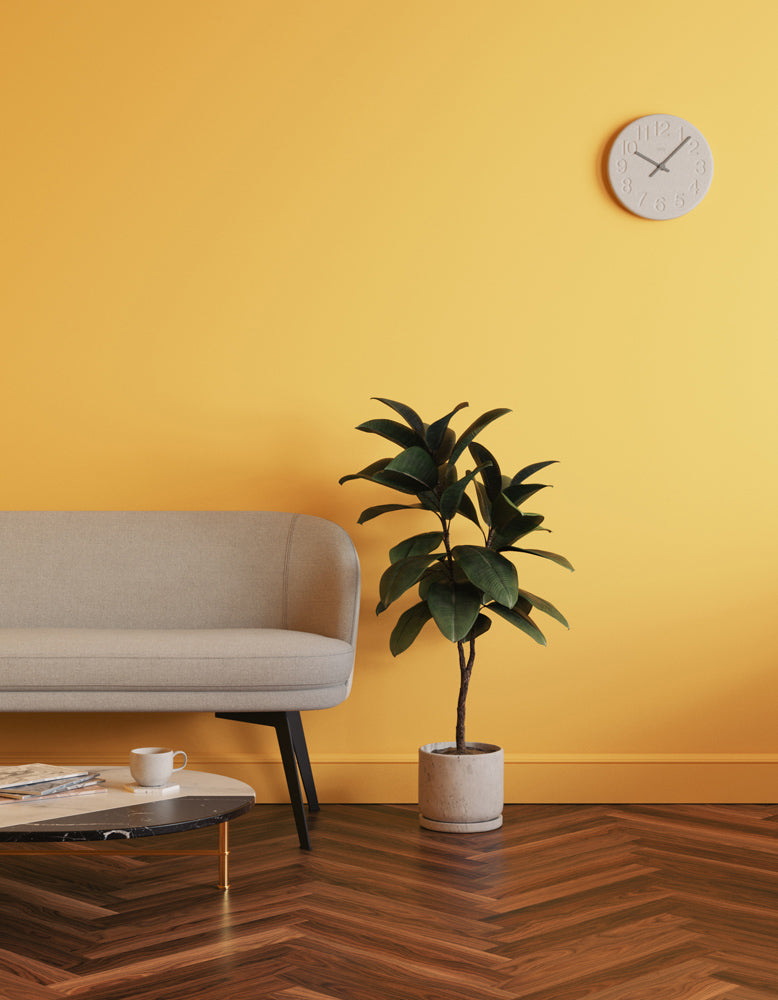 Living room decorated in Lick Yellow 03 paint shade
