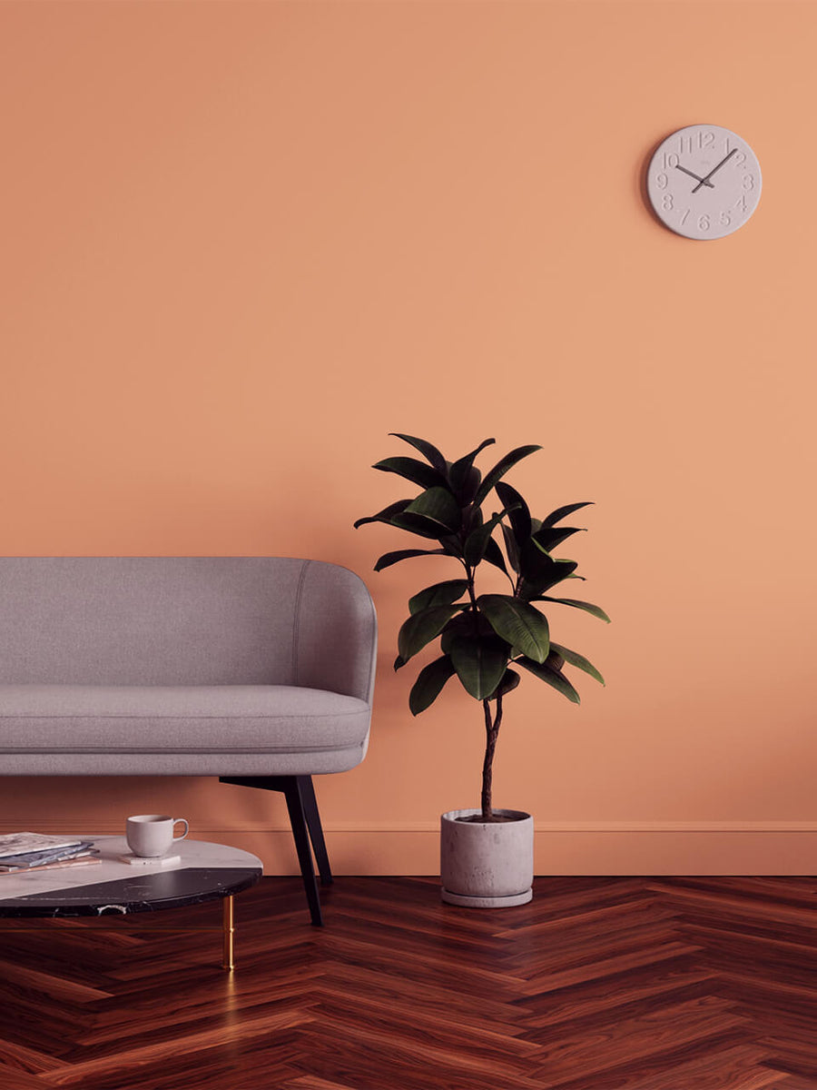 Living room decorated in Lick Orange 05 paint shade