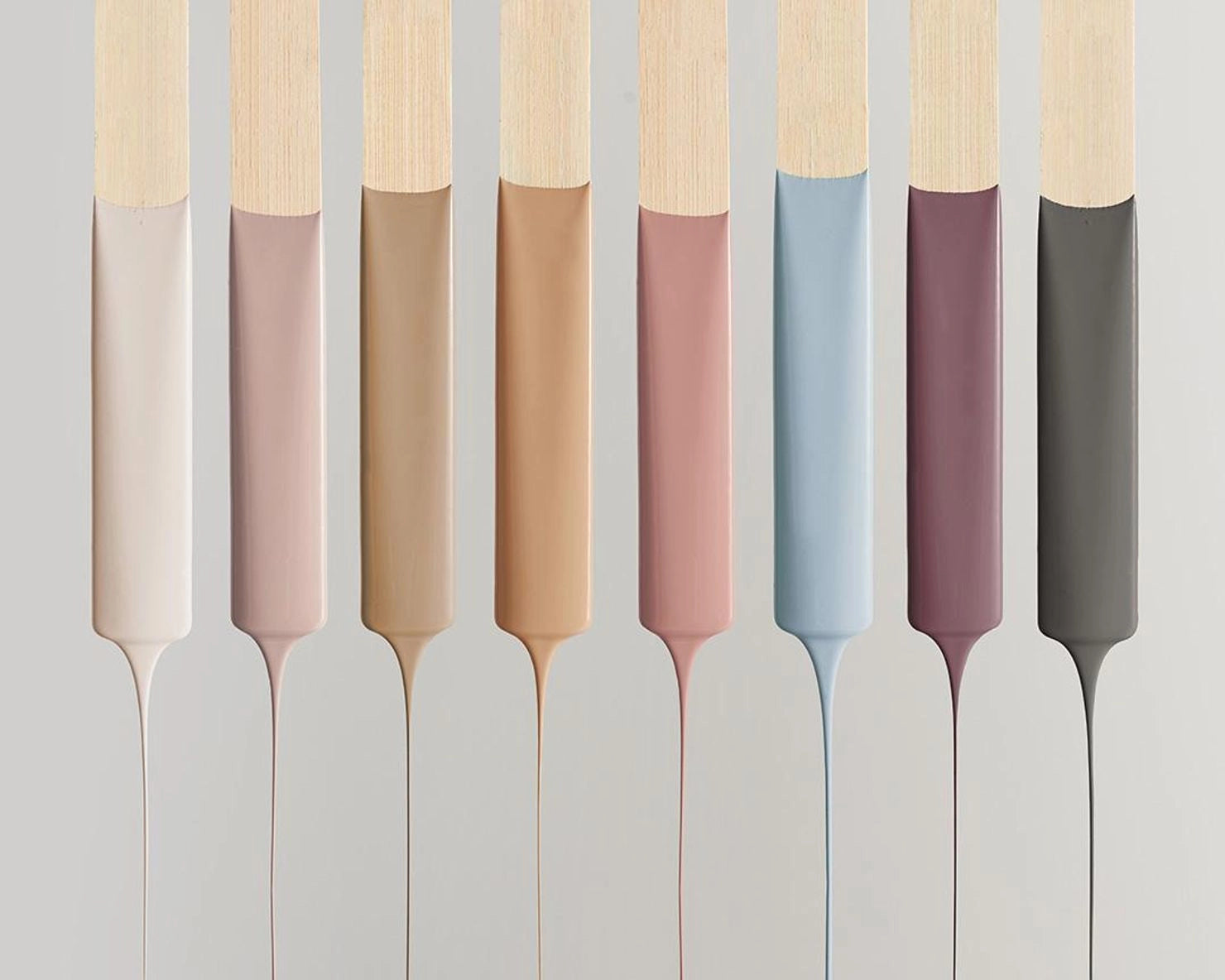 Your go-to for colour