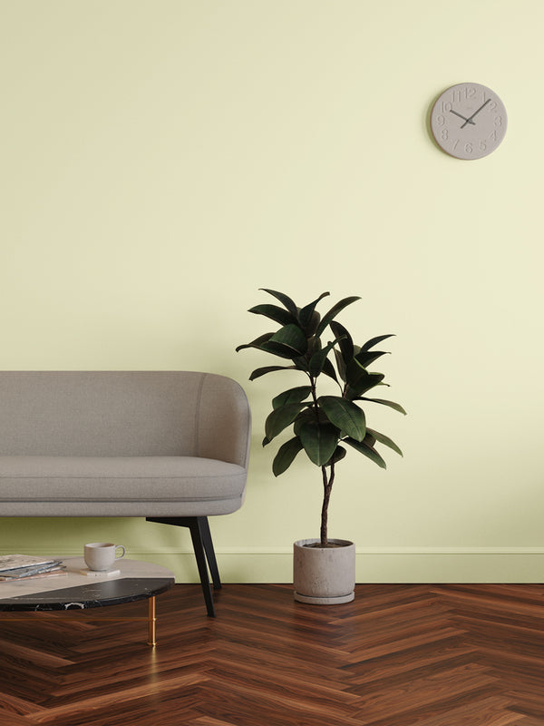 Living room decorated in Lick Yellow 05 paint shade
