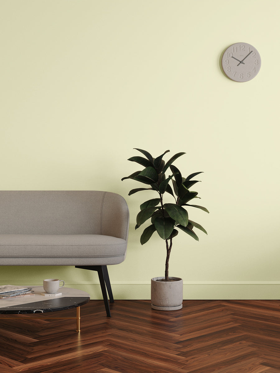 Living room decorated in Lick Yellow 05 paint shade