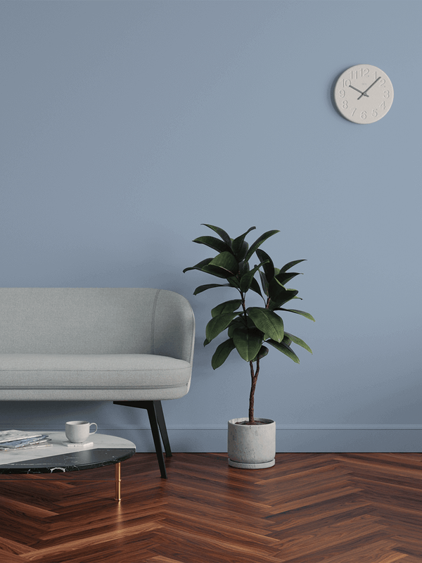 Living room decorated in Lick Blue 17 paint shade