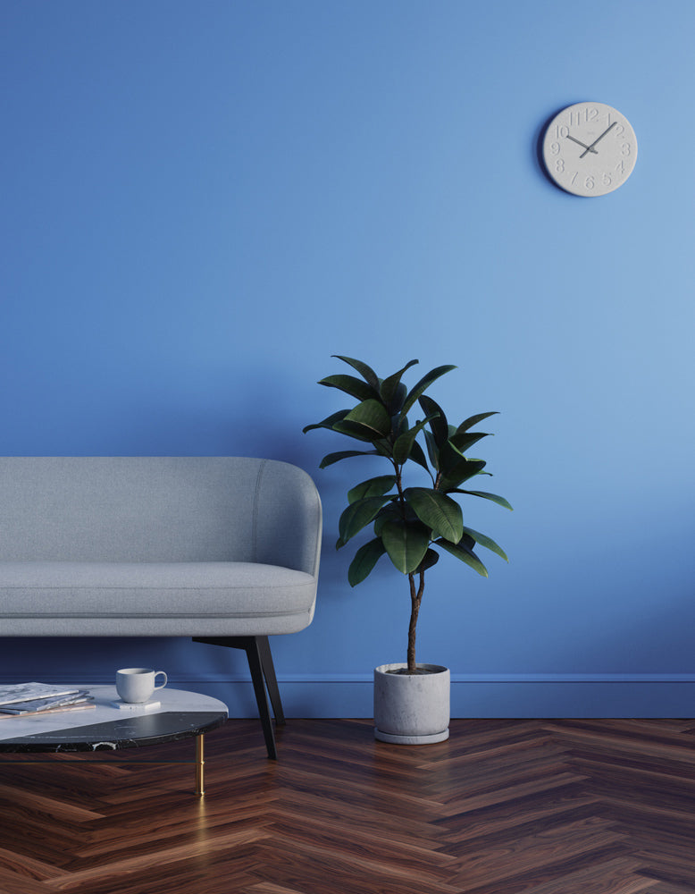 Living room decorated in Lick Blue 10 paint shade