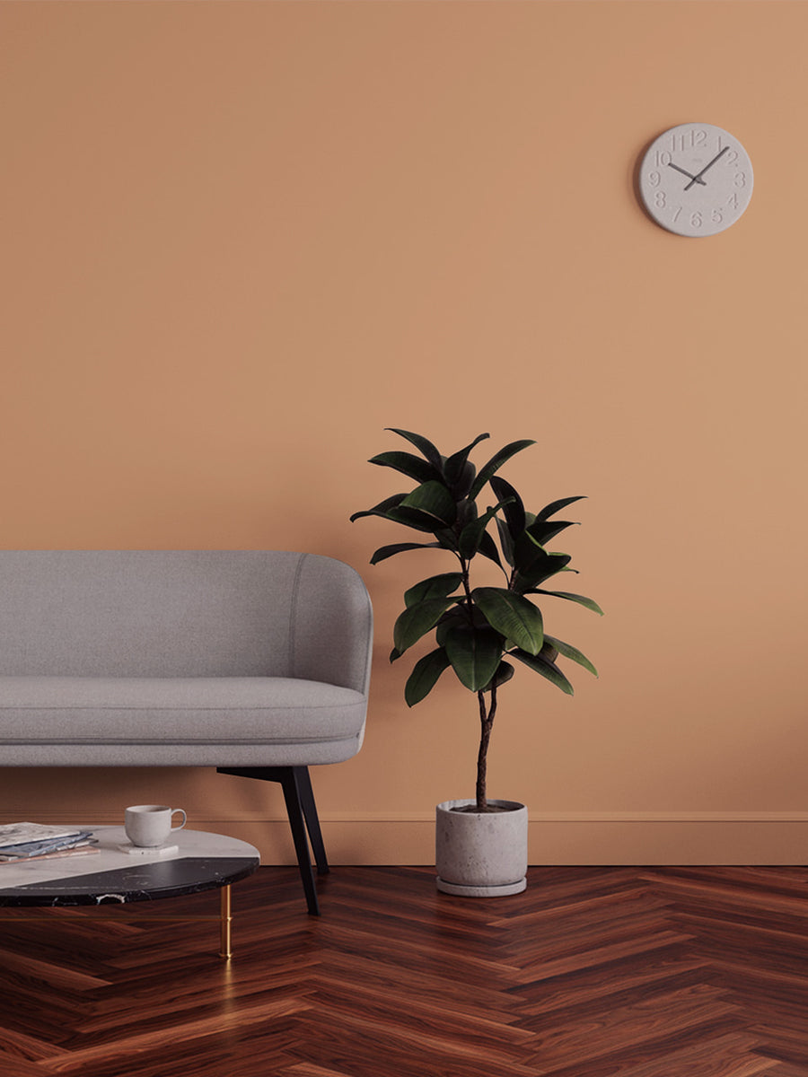Living room decorated in Lick Orange 03 paint shade