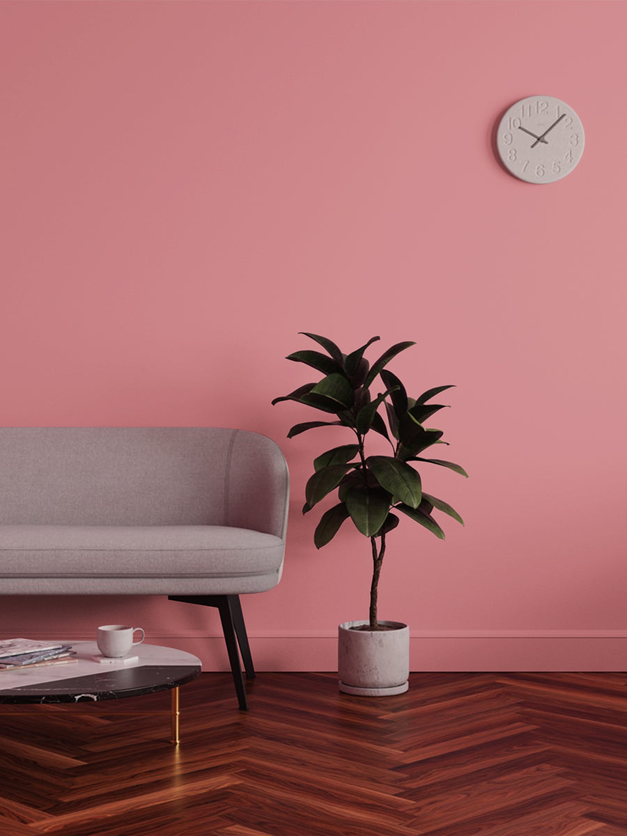 Living room decorated in Lick Pink 12 paint shade