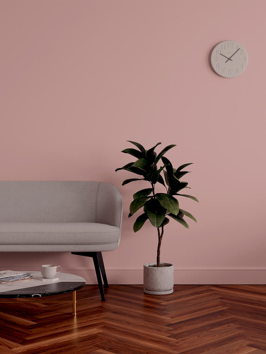 Living room decorated in Lick Pink 09 paint shade