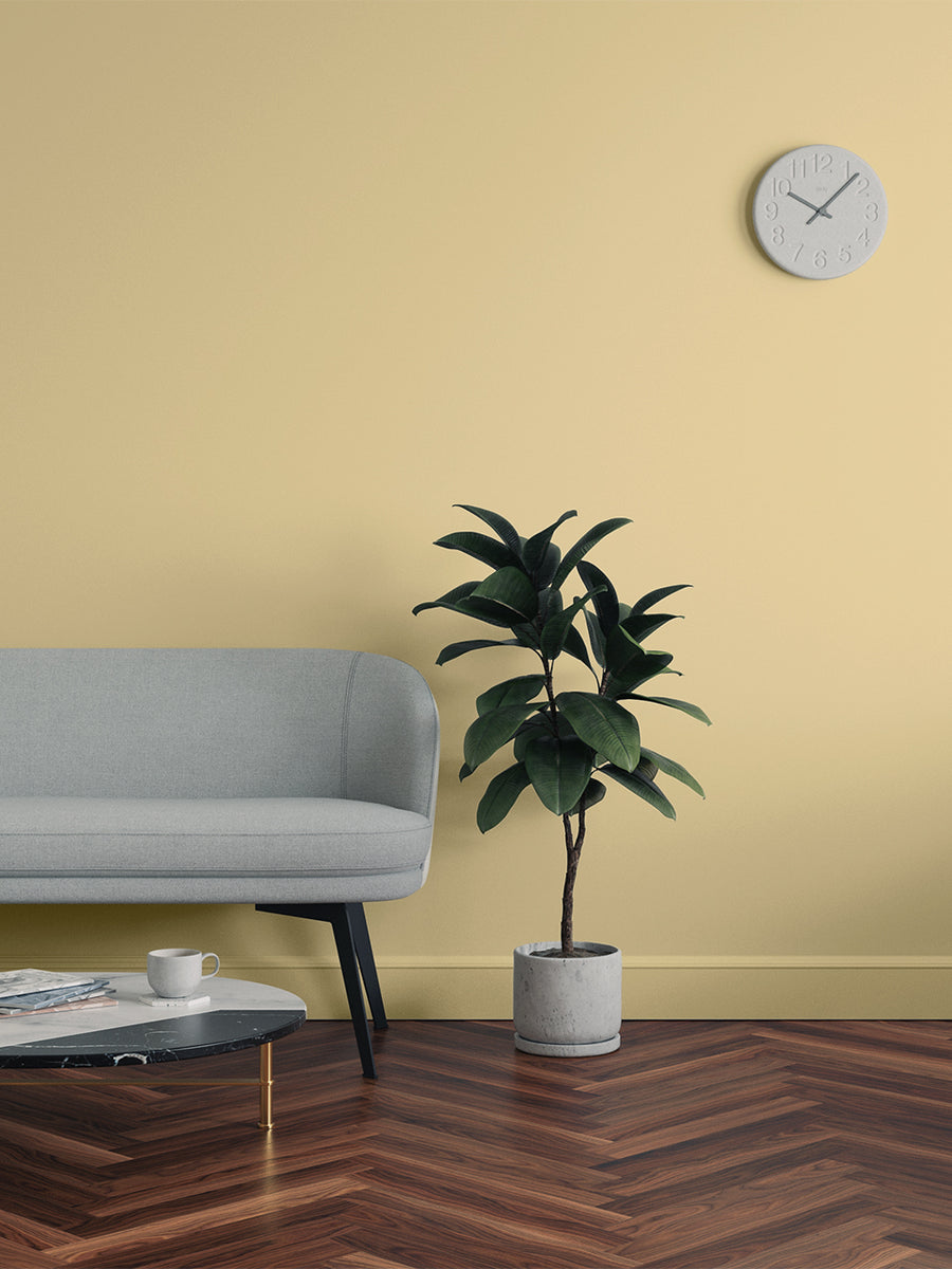 Living room decorated in Lick Yellow 07 paint shade