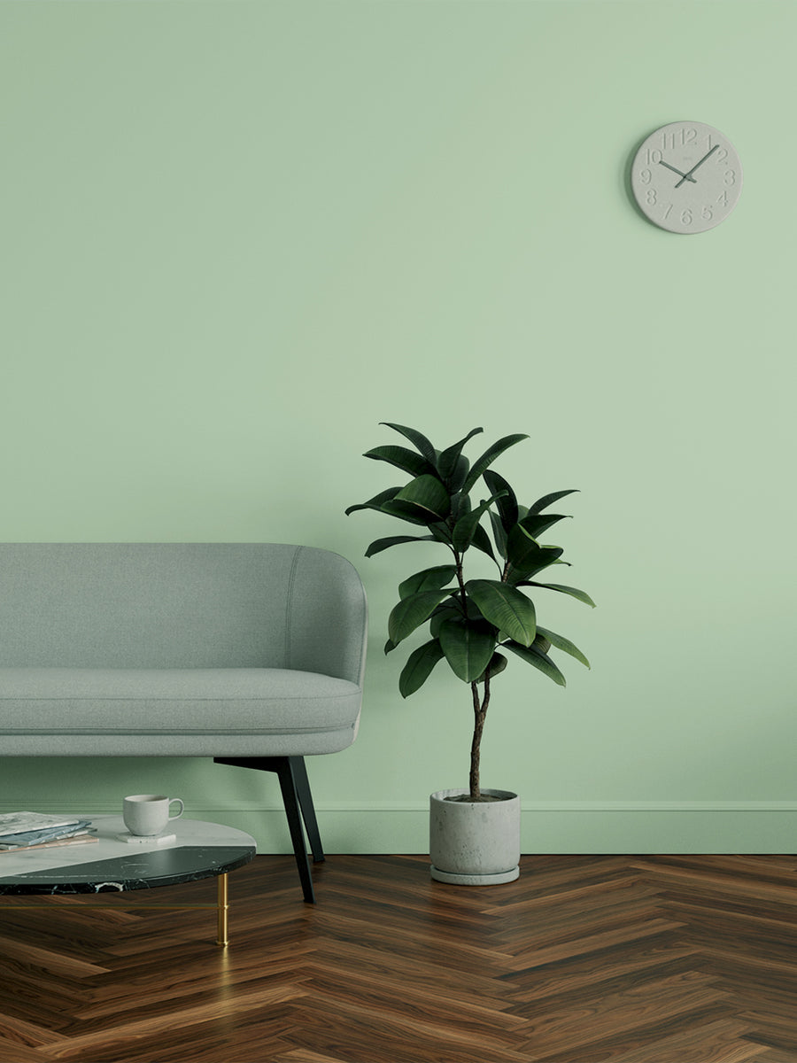 Living room decorated in Lick Green 13 paint shade