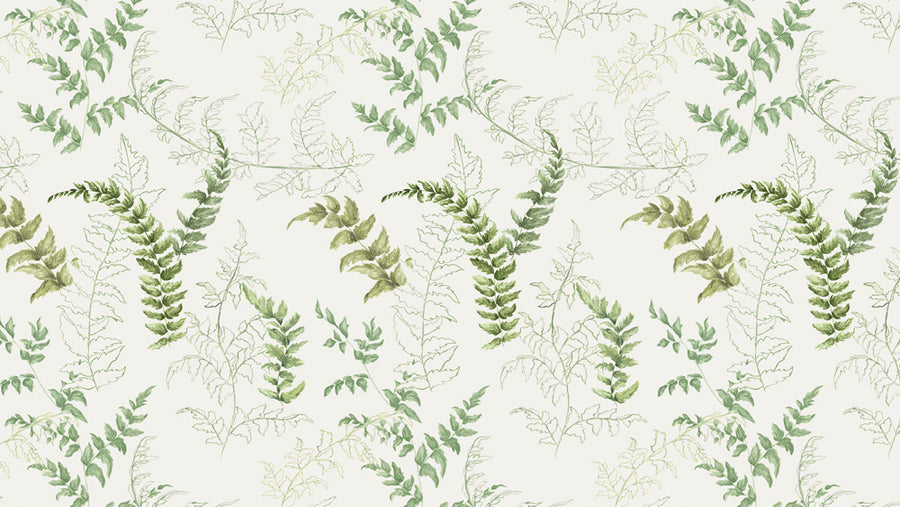 Lick Fern 01 wallpaper design