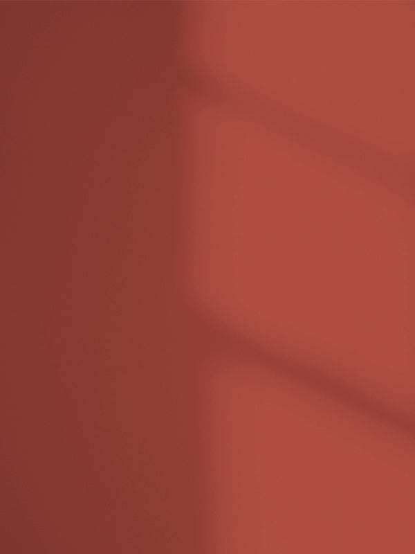 Wall decorated in Lick Red 02 paint shade