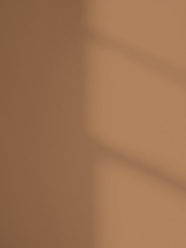 Lick Brown 02 paint shade on the wall with shadow