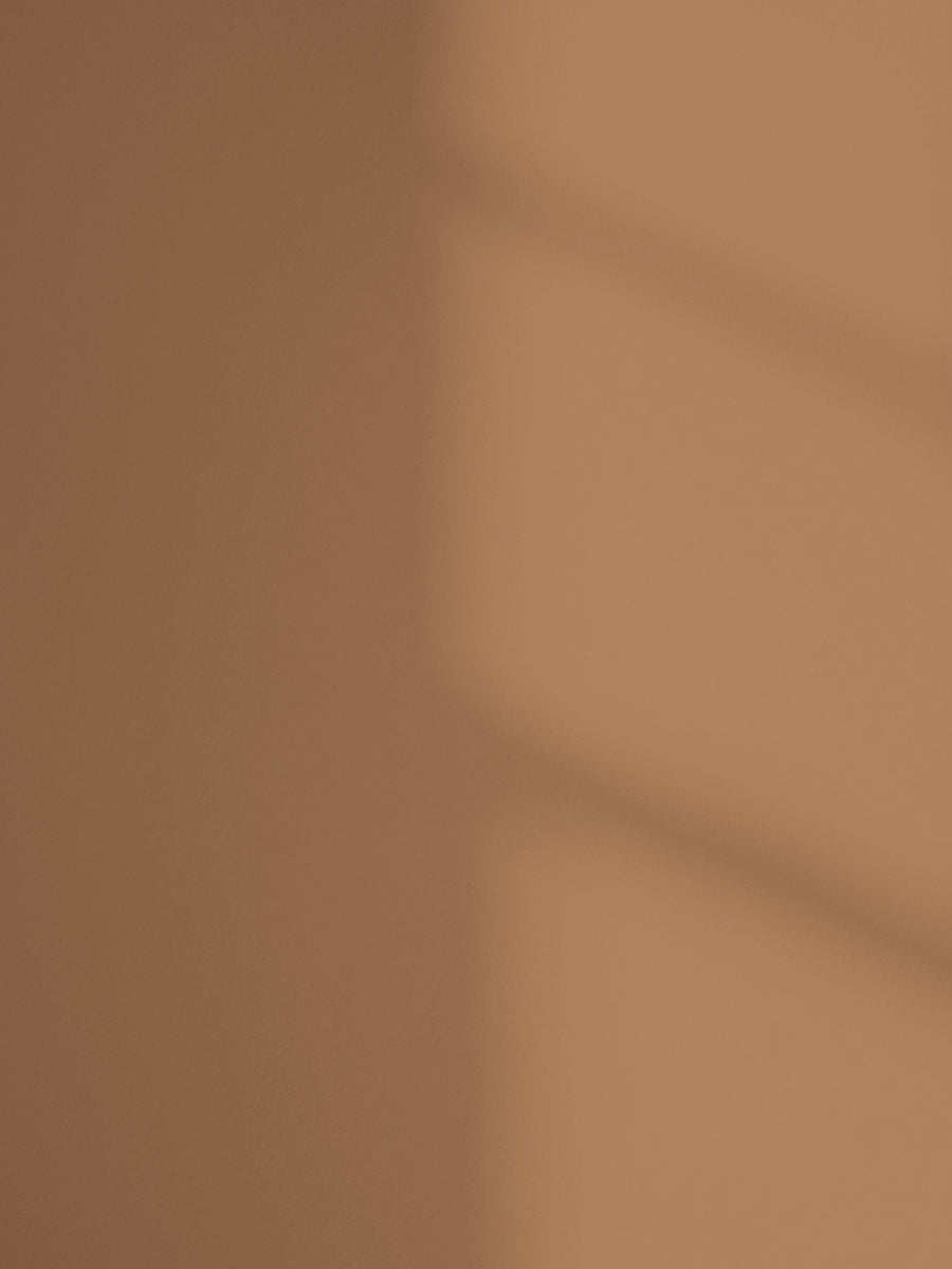 Lick Brown 02 paint shade on the wall with shadow