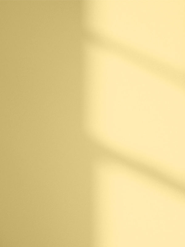 Lick Yellow 08 paint shade on the wall with shadow