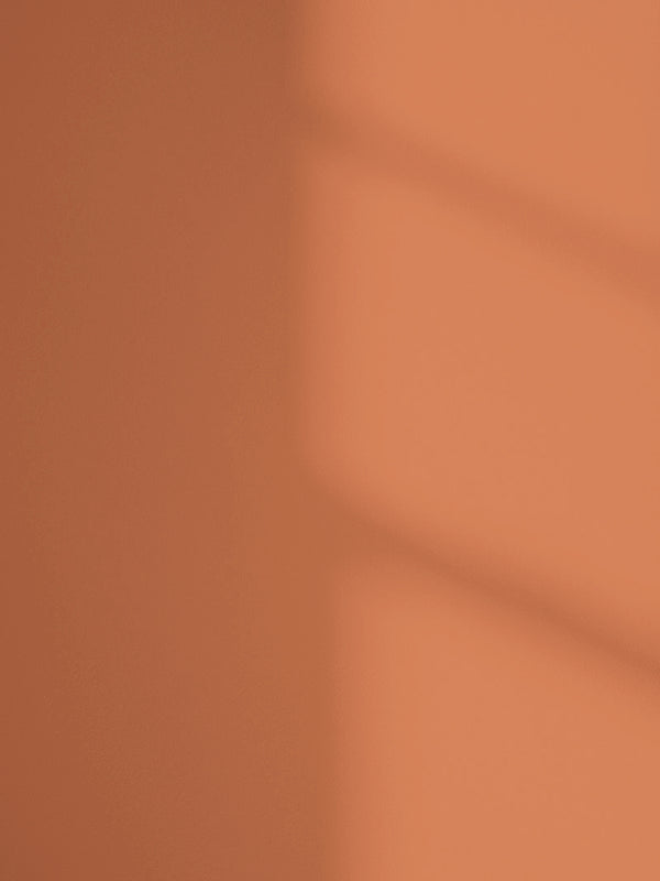 Lick Orange 04 paint shade on the wall with shadow