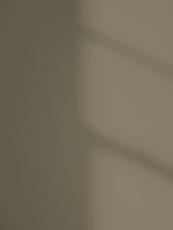 Lick Greige 03 paint shade on the wall with shadow