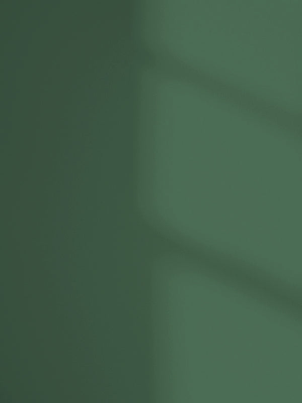 Lick Green 20 paint shade on the wall with shadow