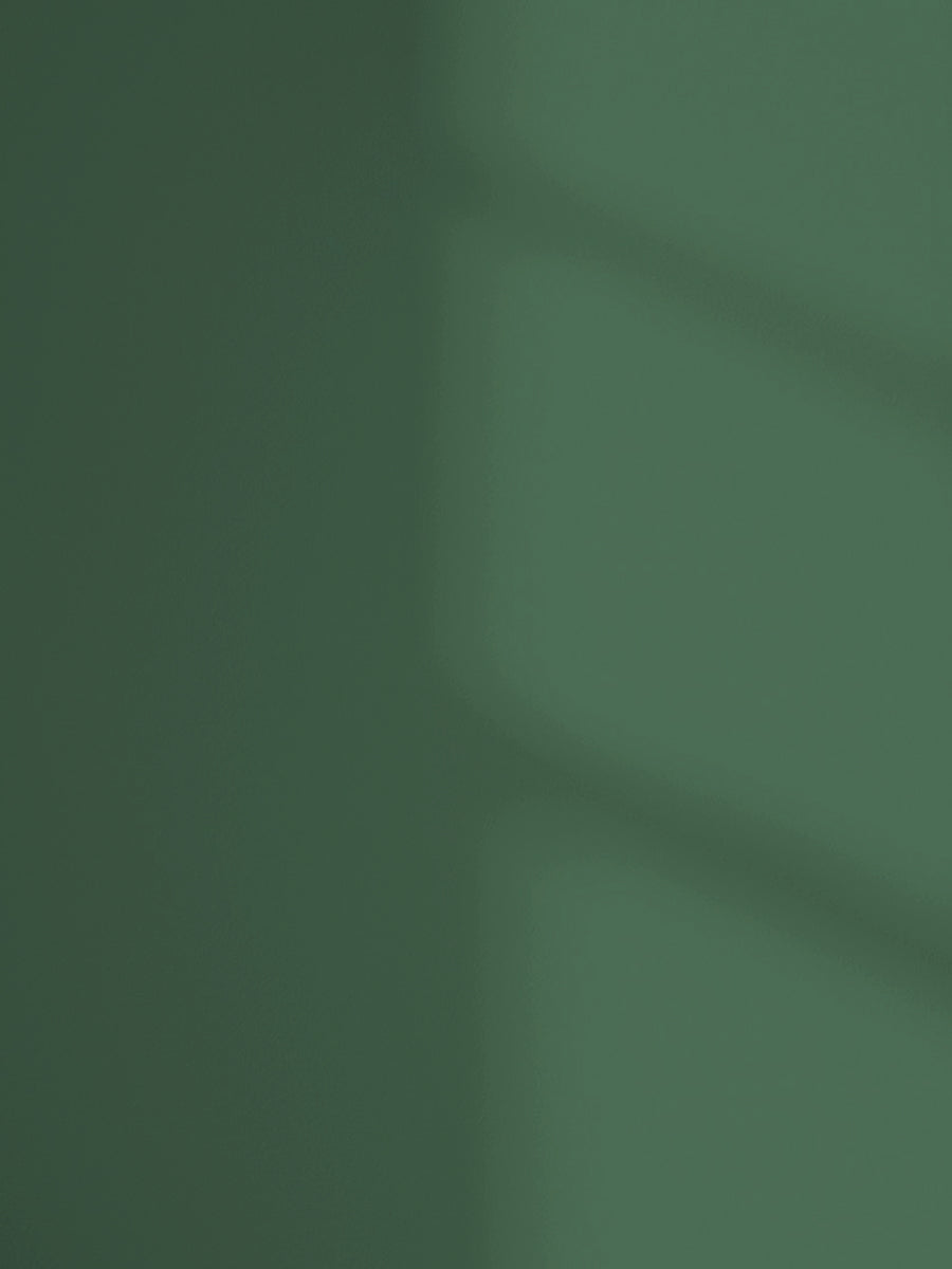 Lick Green 20 paint shade on the wall with shadow