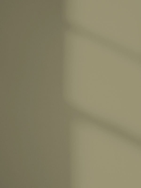 Lick Green 19  paint shade on the wall with shadow