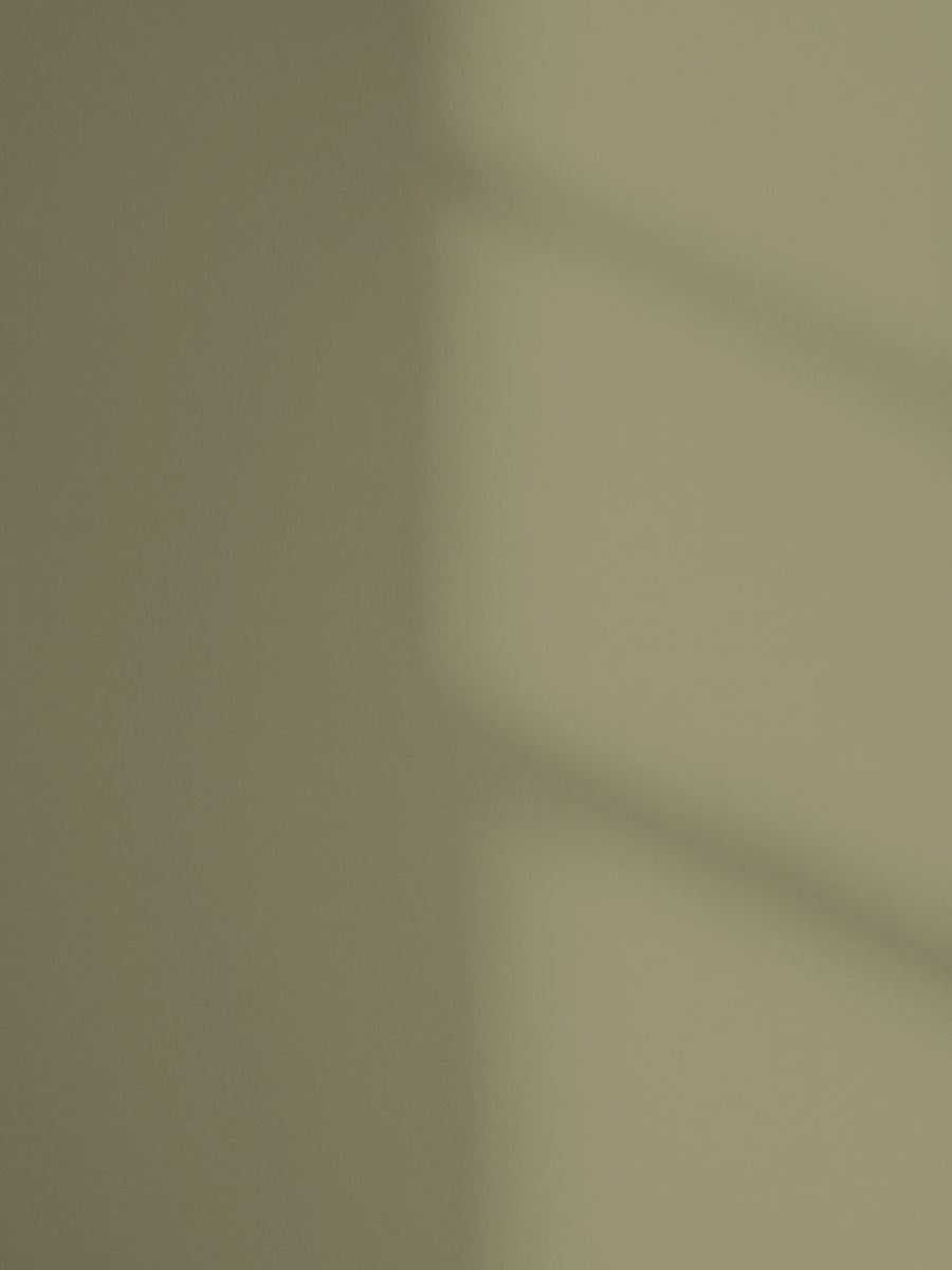Lick Green 19  paint shade on the wall with shadow