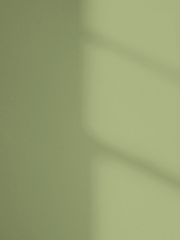 Lick Green 18  paint shade on the wall with shadow