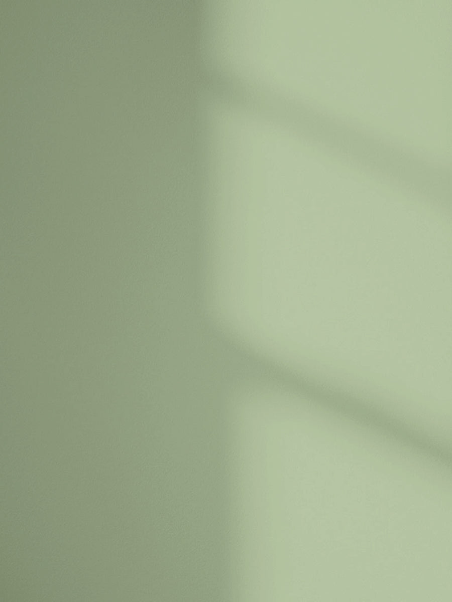 Lick Green 14 paint shade on the wall with shadow