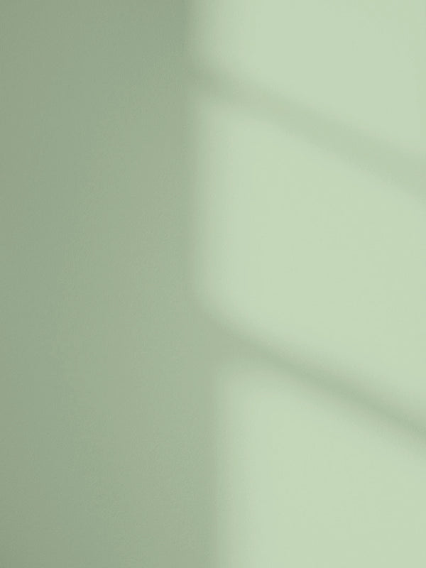 Lick Green 13 paint shade on the wall with shadow