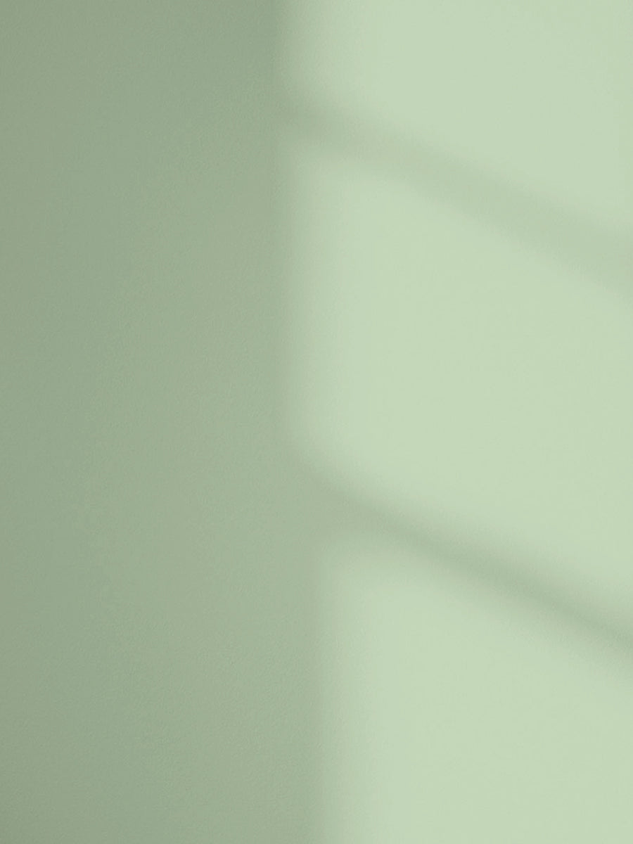 Lick Green 13 paint shade on the wall with shadow