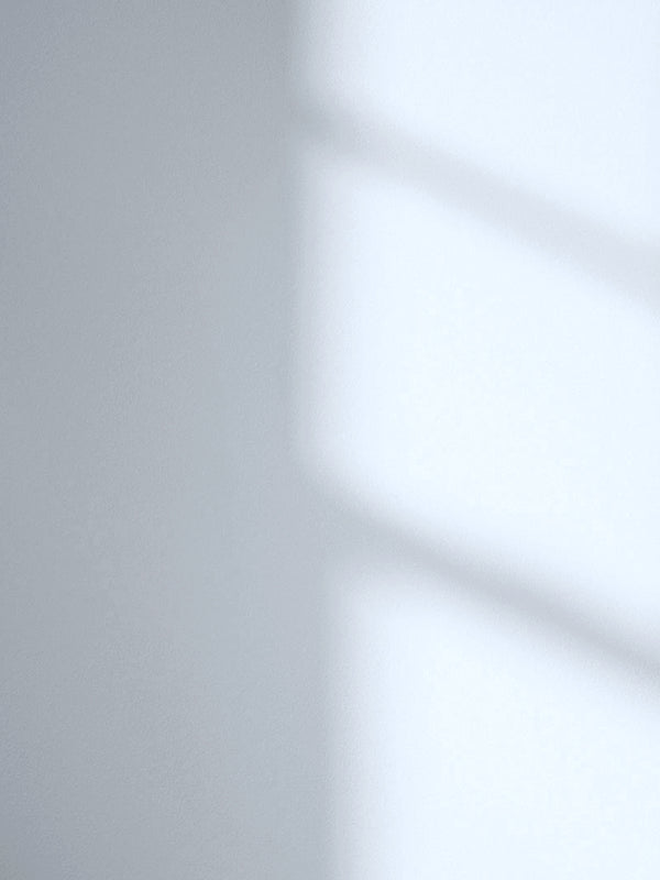 Lick Blue 14 paint shade on the wall with shadow