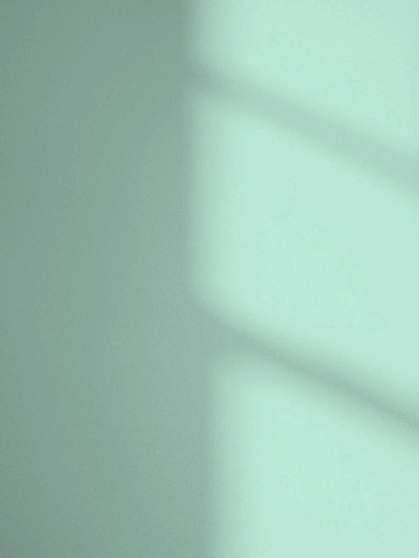 Lick Blue 13 paint shade on the wall with shadow
