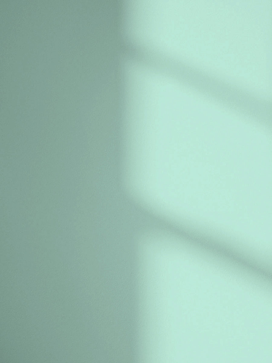 Lick Blue 13 paint shade on the wall with shadow
