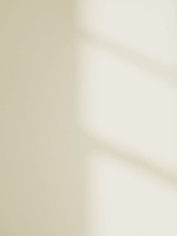 White 05 paint shade on the wall with shadow