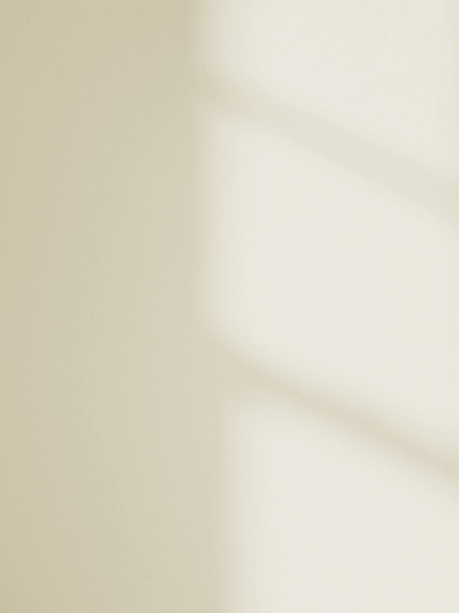White 05 paint shade on the wall with shadow