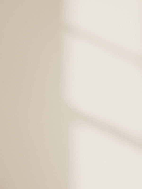 White 06 paint shade on the wall with shadow