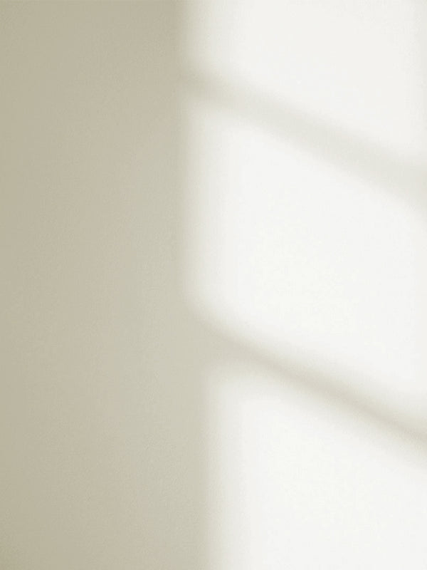 White 03 paint shade on the wall with shadow