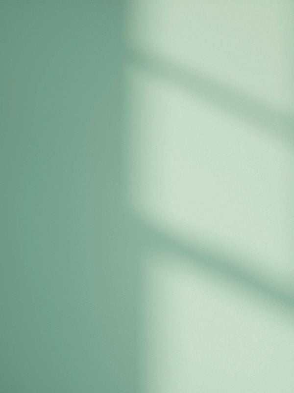 Green 08 paint shade on the wall with shadow