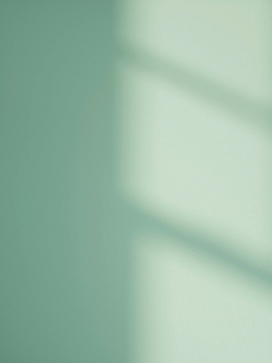 Green 08 paint shade on the wall with shadow