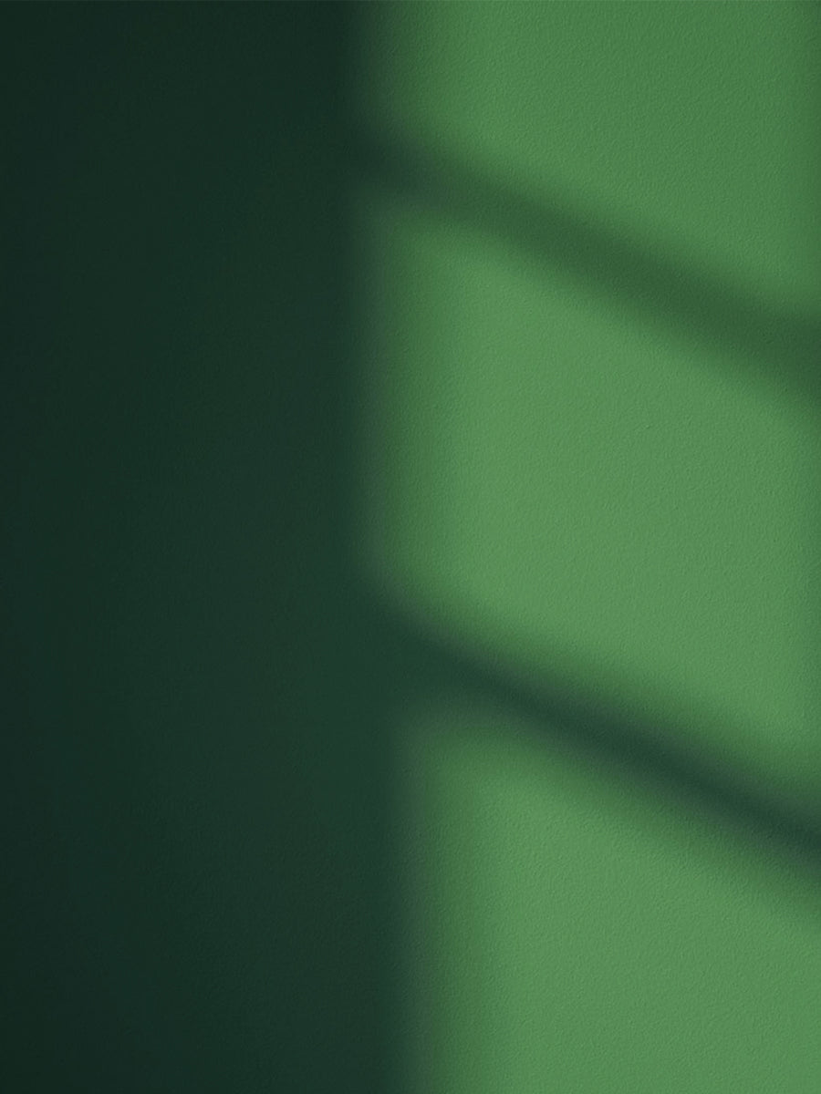 Green 07 paint shade on the wall with shadow