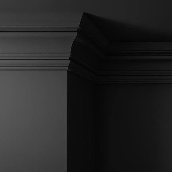 Walls, ceilings and coving painted in Lick Black 02