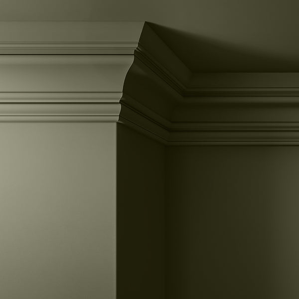 Walls, ceilings and coving painted in Lick Green 05