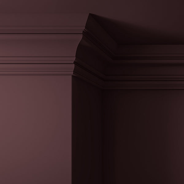 Walls, ceilings and coving painted in Lick Purple 03