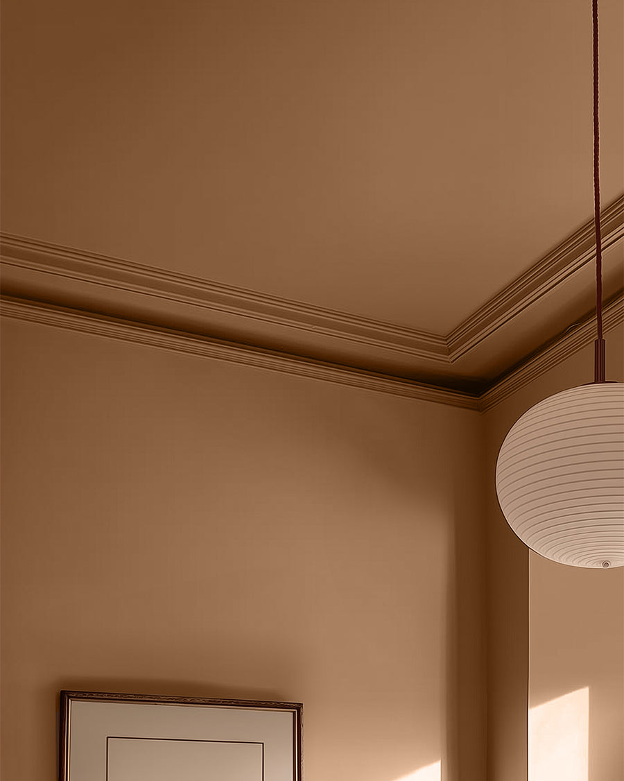 Brown 02