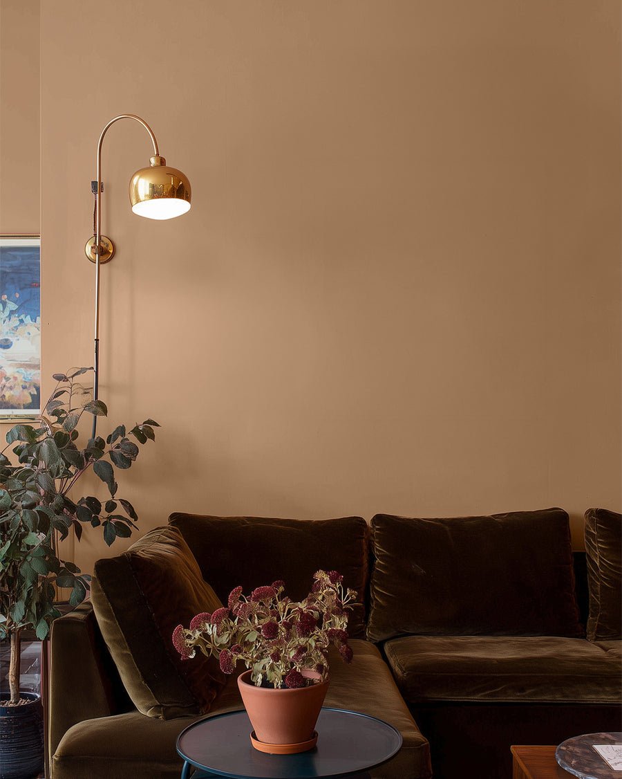 Brown 02