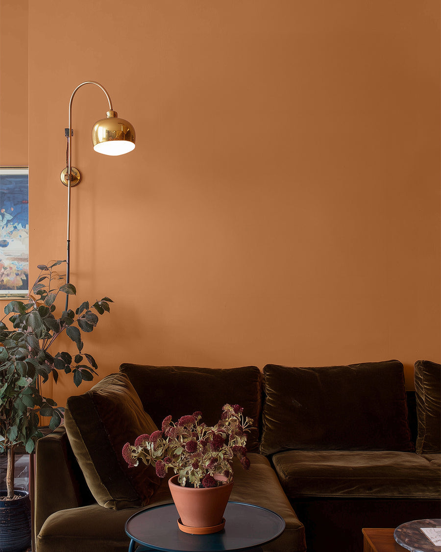 Orange 02