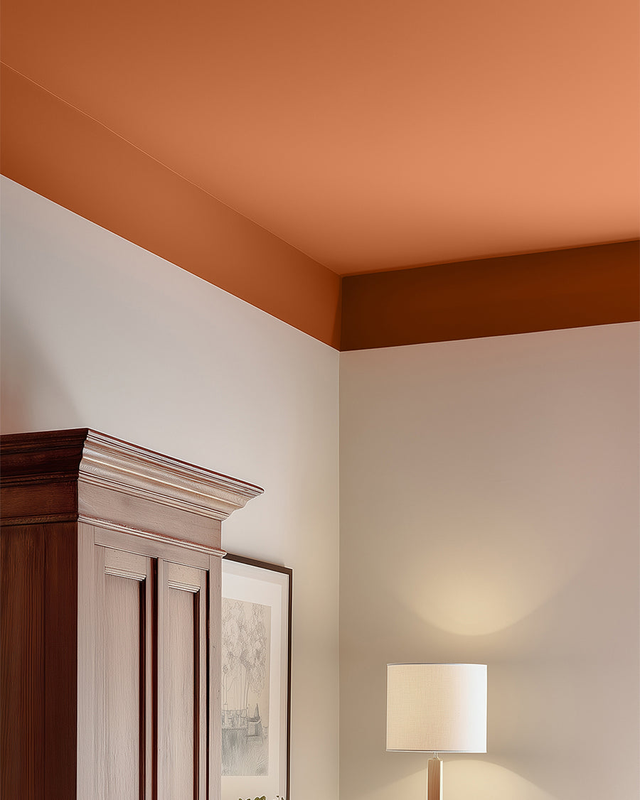 Orange 04