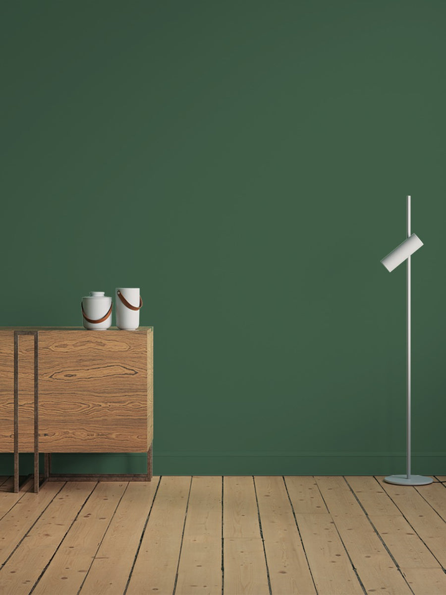 Hallway decorated in Lick Green 20 paint shade